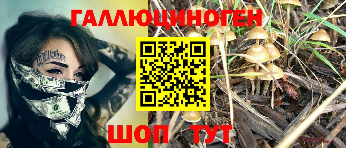 Коркино  Псилоцибиновые грибы мицелий  Вход с VPN  Псилоцибиновые грибы MAGIC MUSHROOMS 