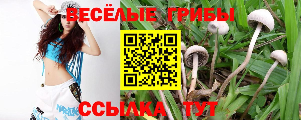 Галлюциногенные грибы мухоморы Коркино